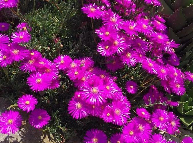 La Torretta Отель типа 